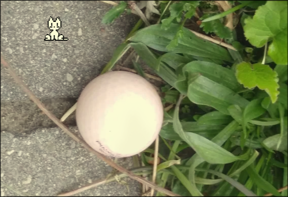 golfball