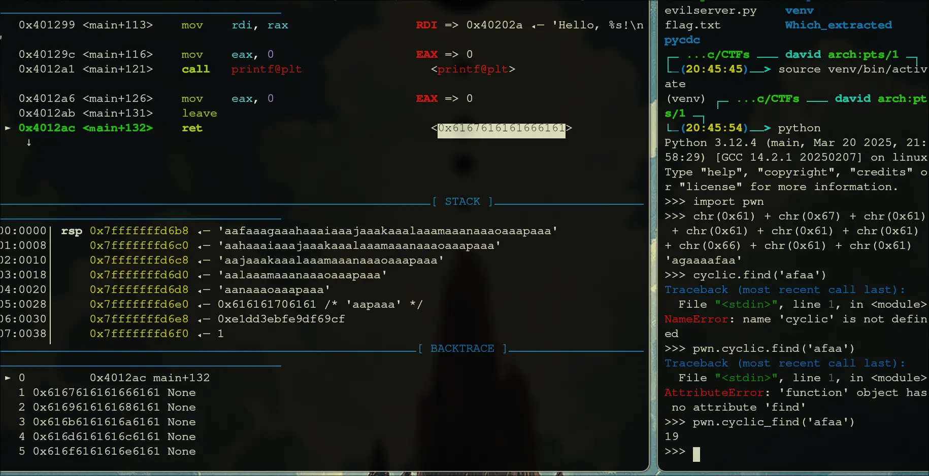 checksec